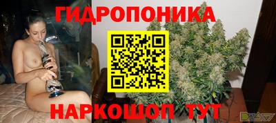 ECSTASY Кимры