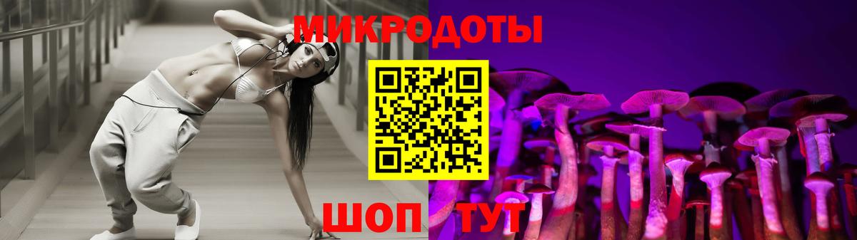 Псилоцибиновые грибы Cubensis Ярославль
